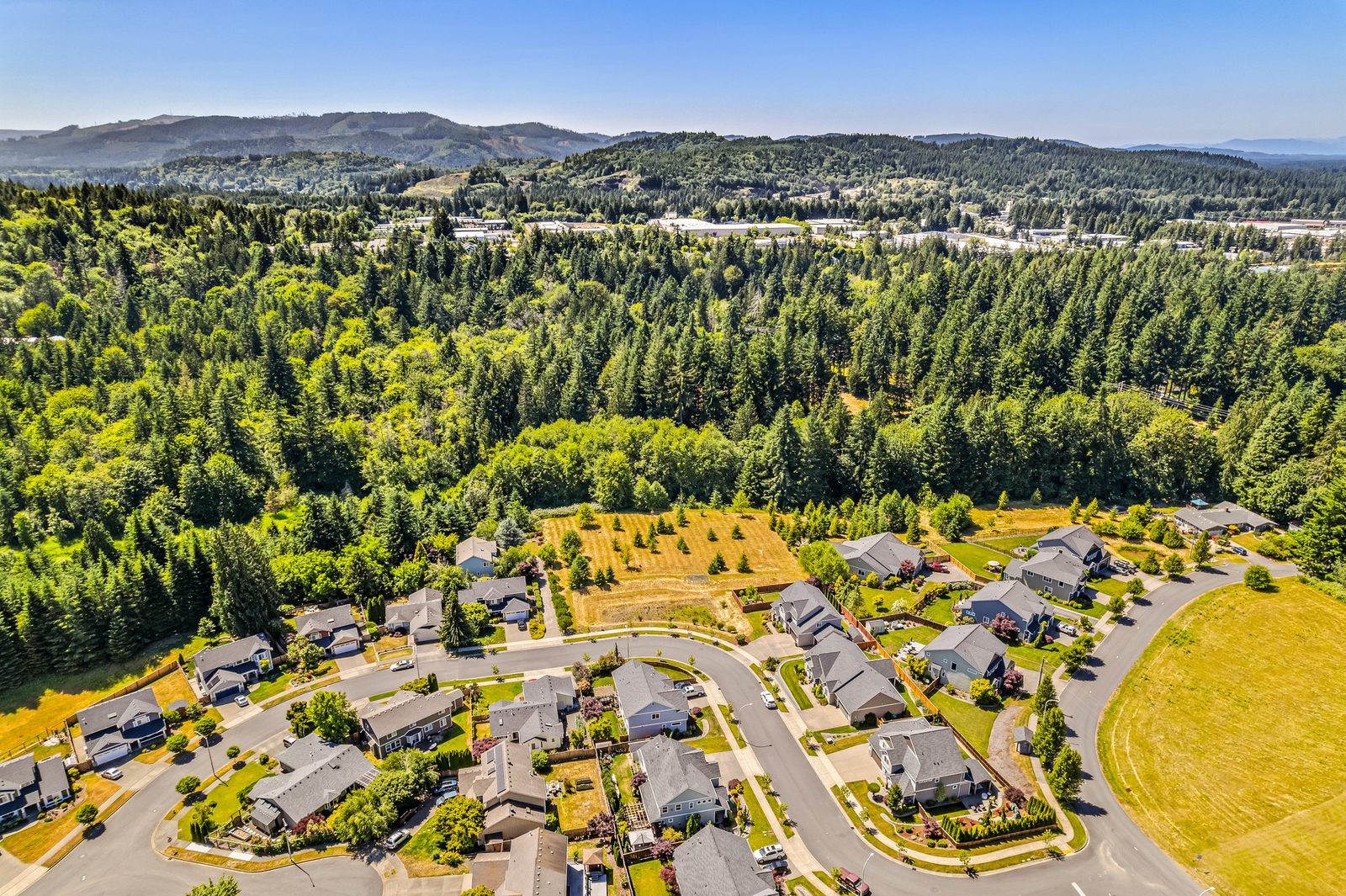 Aerial view of a Seattle-area residential neighborhood